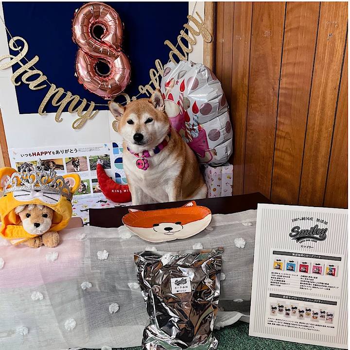 955e9892 3f49 41f7 a1d6 cb7132fc2265 1667702273733