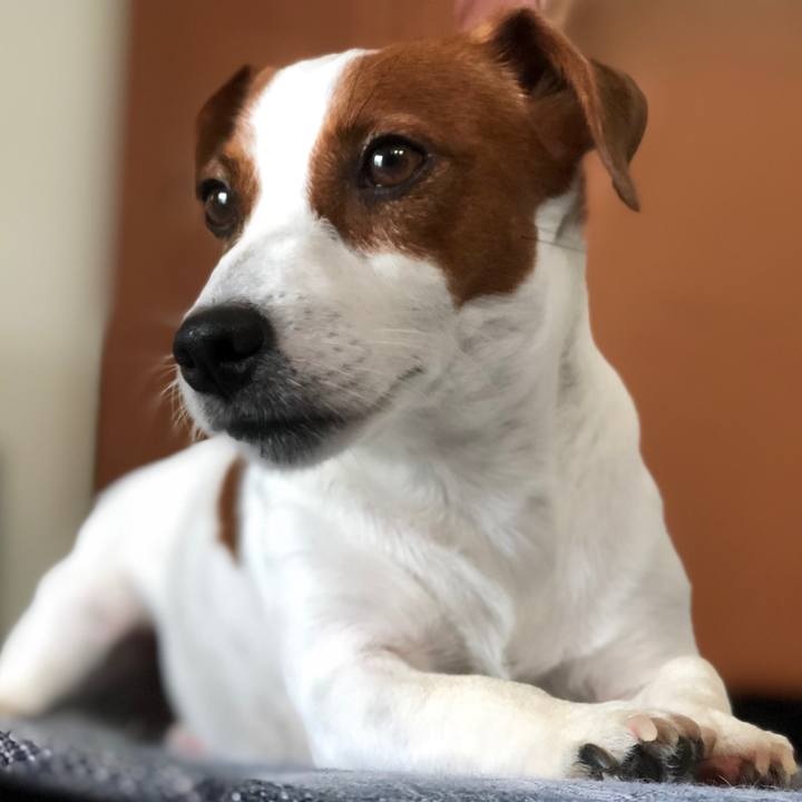 955eba61 69f7 4cac 8413 05cdb845a9bb 1569660355453