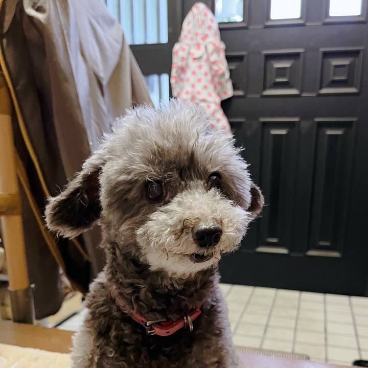 955ed46a b91e 44a4 8ca6 13a627e6a119 1754778963076