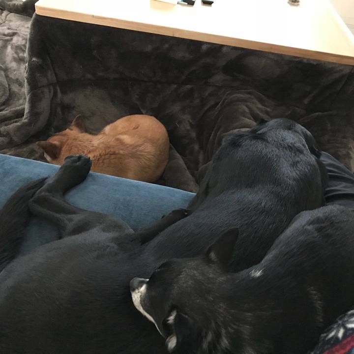 955ee7d2 d760 415a 996b 7f4374df137d 1517870400289