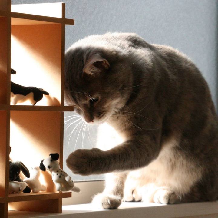 955ee83f 1090 4a66 a4eb d55d1cddaada 1516067004968