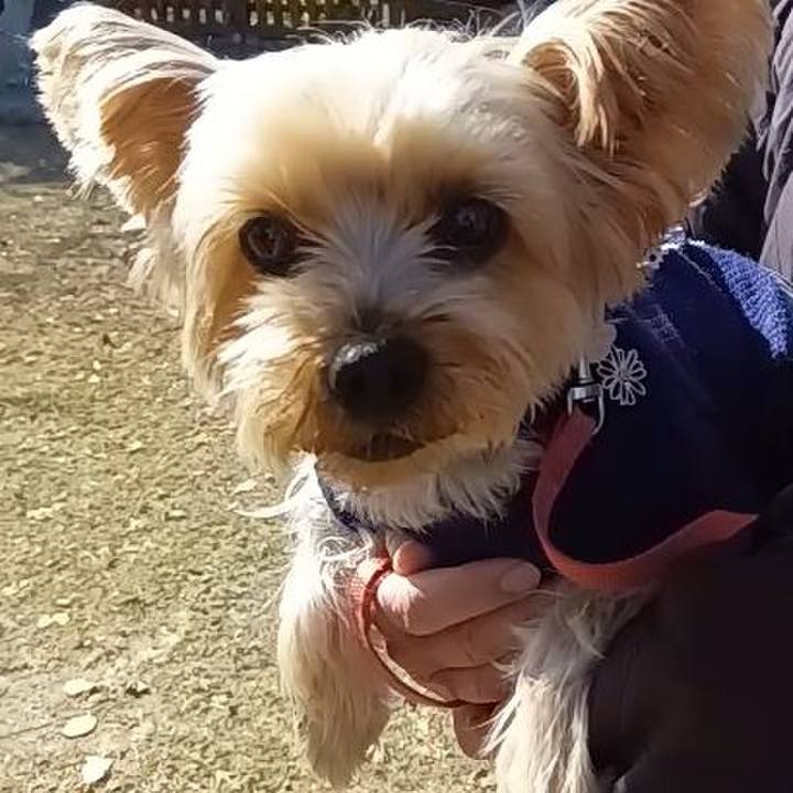 955f3f6b da81 4b88 9465 5767704fedc0 1735713756663