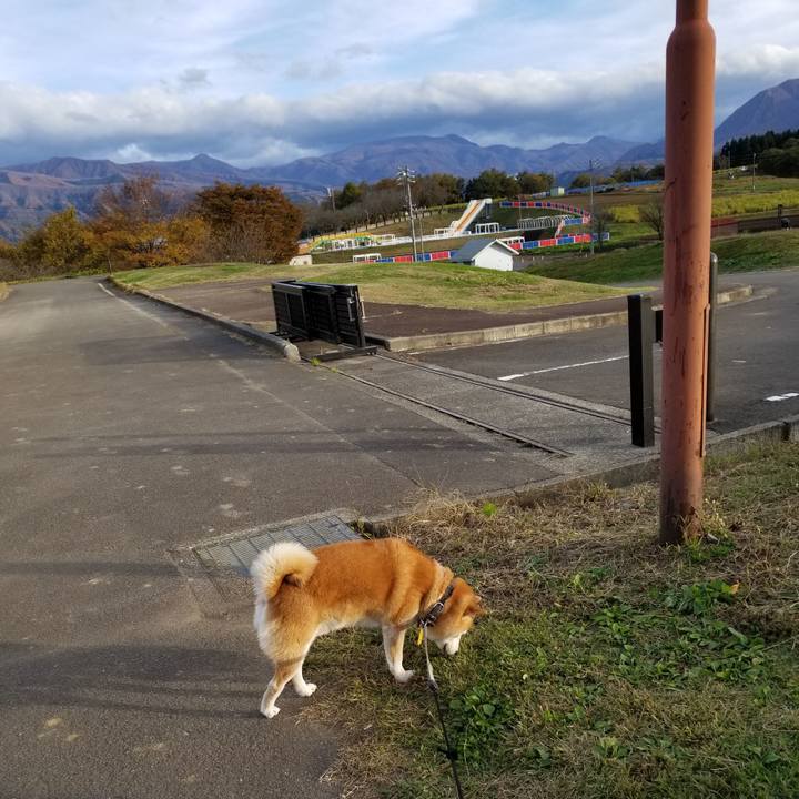 955f41e0 acfa 43fa a014 cbef4e5734ad 1636353542584