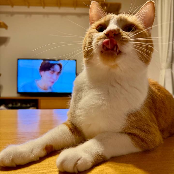 955f592e 568f 4eb5 9c7e c37407a2be01 1761481856876