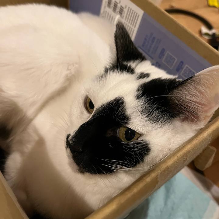 955f5e3d caea 4ab0 ba14 e7c40c42a578 1767828298715