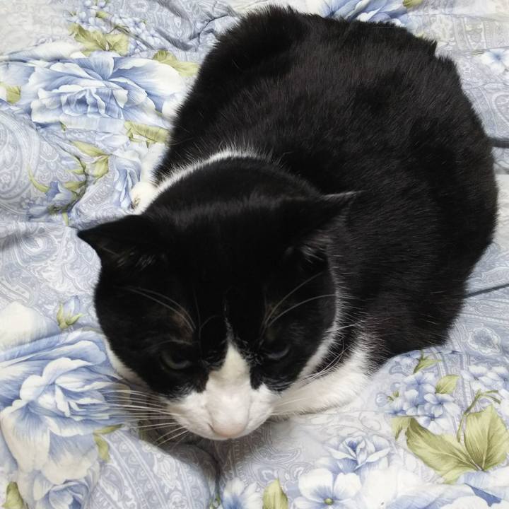 955fdb53 1c0a 411a b435 93763c44e866 1547757953083