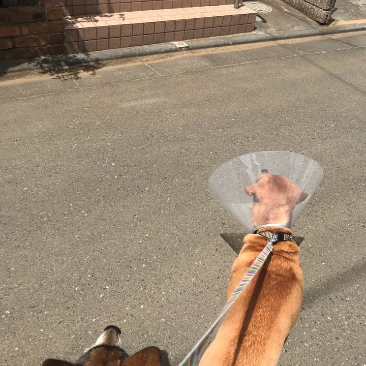 955fdd96 6e26 48f2 8100 44853bf43b99 1556440210491