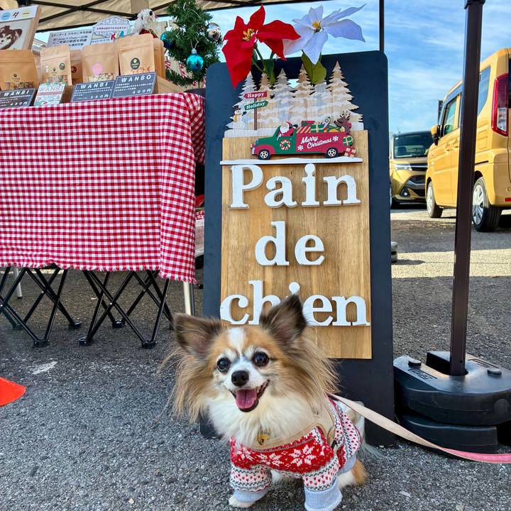 95601d8b e00a 4a21 8ece e12d97e4cf76 1763965255737