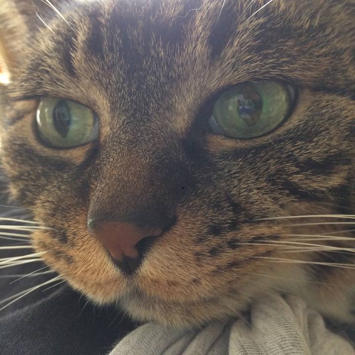 95602455 59ad 425b 94ab 7141f42913b0 1523667470963