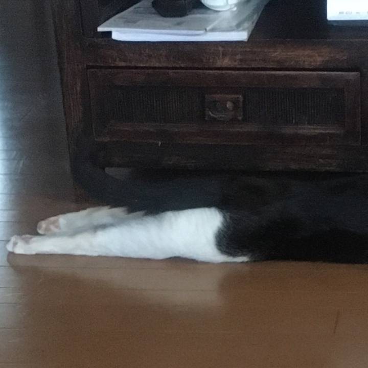 956039da cf8e 4a4c 8bbc 774397199112 1584235834780