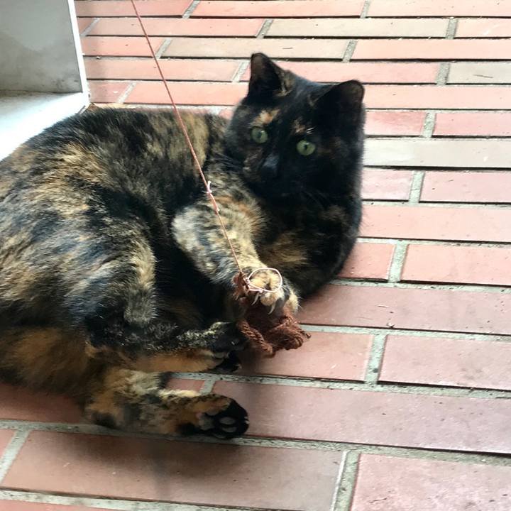 956043de eeb2 493e ba0a 74199d5c2cf2 1510983204184