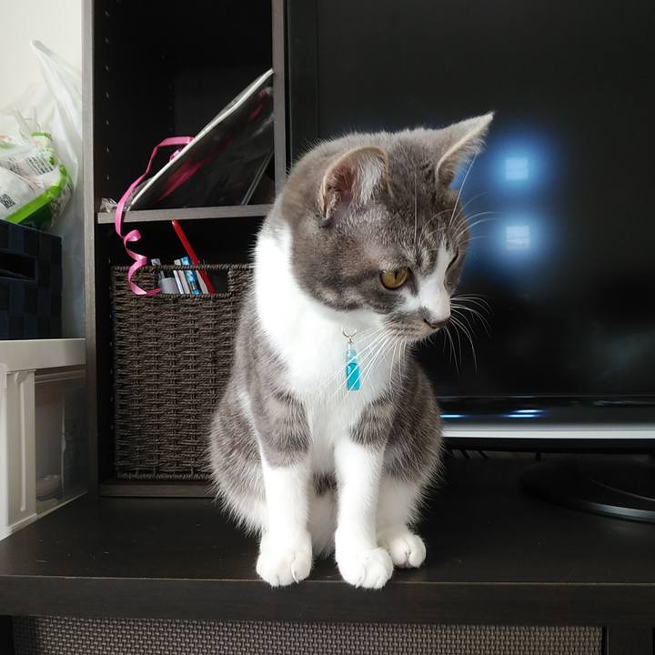 95605013 a908 43c3 853b 0ee75539c46c 1583224569094