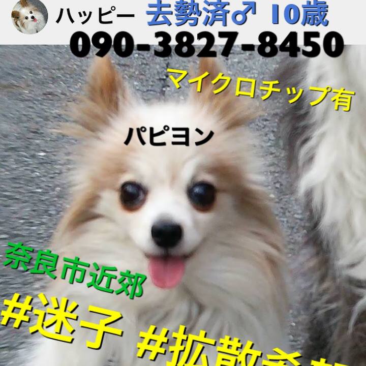 95611337 2bd1 4894 aef7 cbfe5a96081f 1525332184627