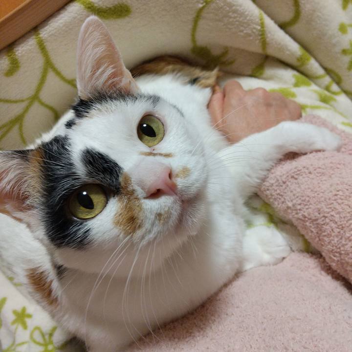 95611cce 4c59 46db b9ce 870a89ed3c0c 1640084539757