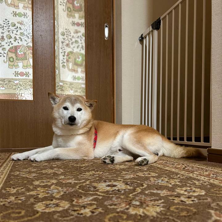 95612861 6ddd 49f7 b4ca a6dab7ac4b91 1755432072138