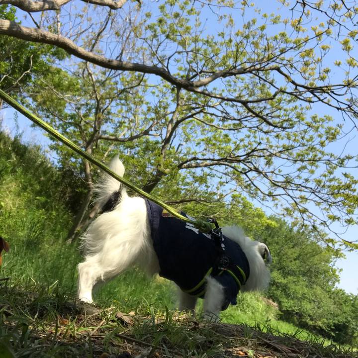 95612a69 df1f 4684 9604 27b9b276eea1 1524186832585