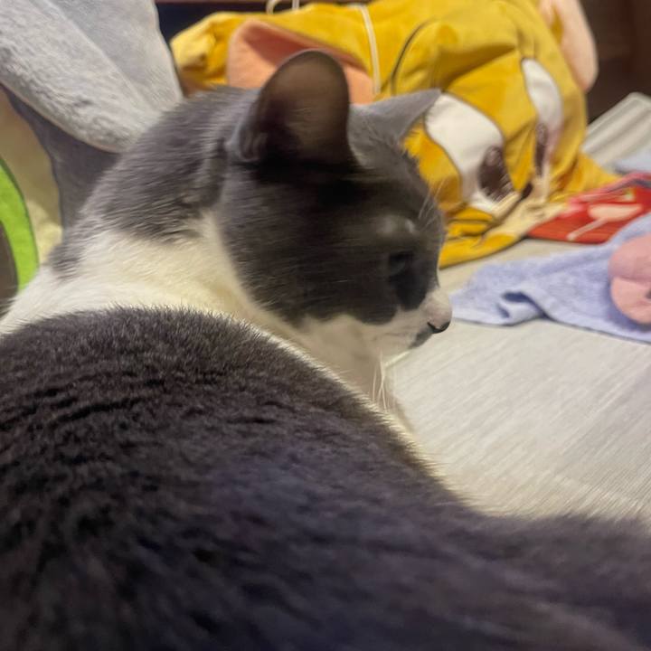 9561746b dafa 4bee 8bbf bd5d096b96f1 1755453285350