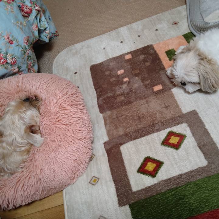 95618129 7409 4b5f b357 6cf0d941d34d 1641990974200