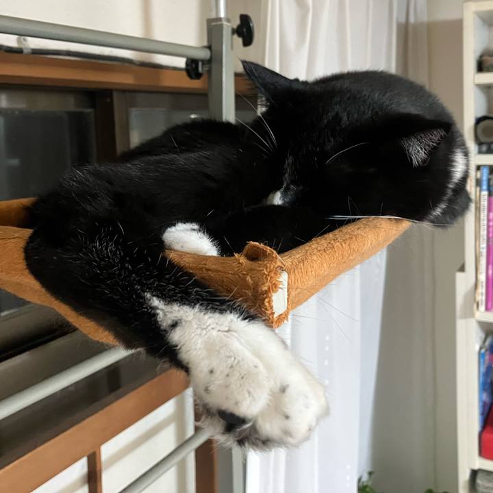 9561990e 5ff3 4022 9f4c 5f4edad9cd19 1737601118190