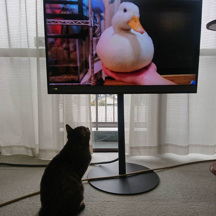 9561a770 0860 4d83 9dba 5de375bf7aba 1611459327672