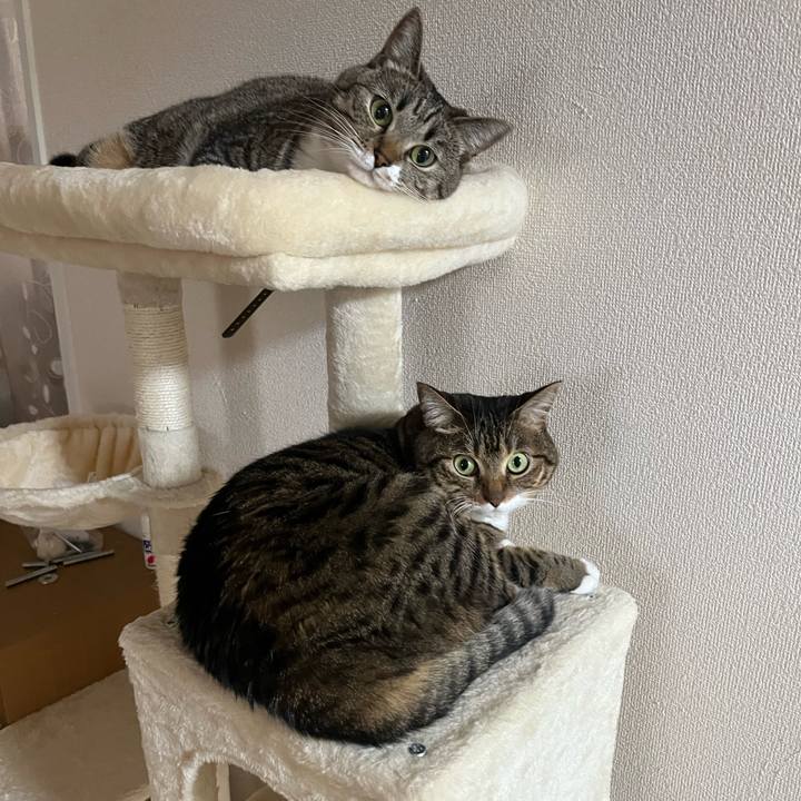 9561eb83 218d 4e28 9575 4be382b77b07 1696925365303