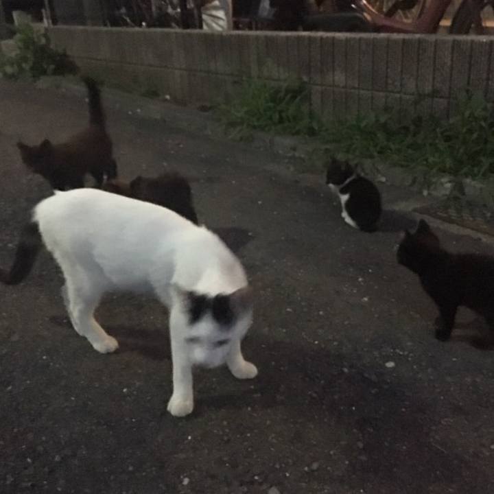 9562014c fe7c 4760 bd72 6b2262b440e0 1529406735132