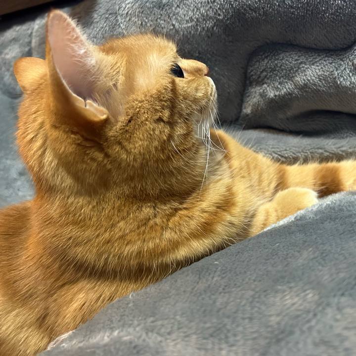 95622256 db57 472e 9b19 ad2fdca02294 1741950240516