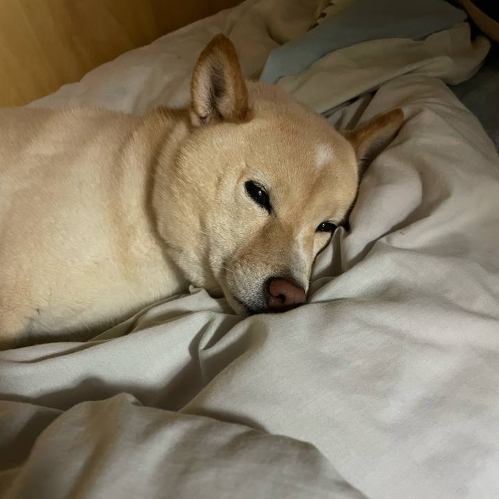 956223a1 3ef1 45ba 9a3d 7389bdf90600 1679486647618