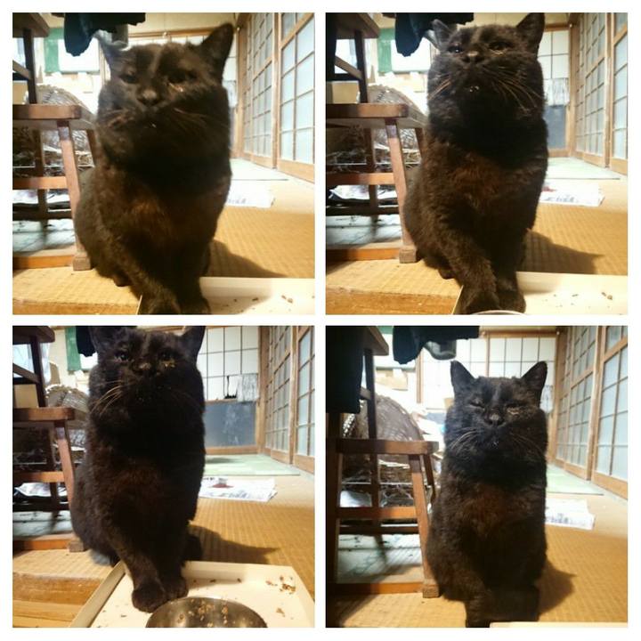 95623169 9463 4b87 b2f0 8d628f802ae9 1616840412679