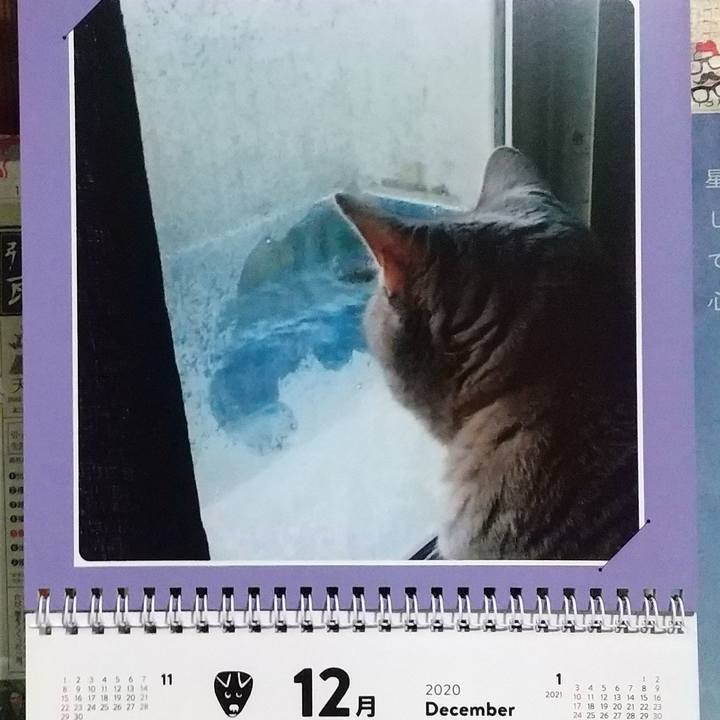 95624962 dd98 453c 9aa0 151590058c60 1606771028467