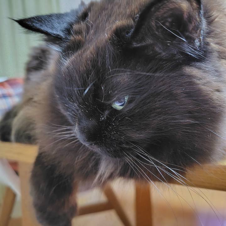 95627c50 1999 4588 86d1 f5c829f41098 1739706569795