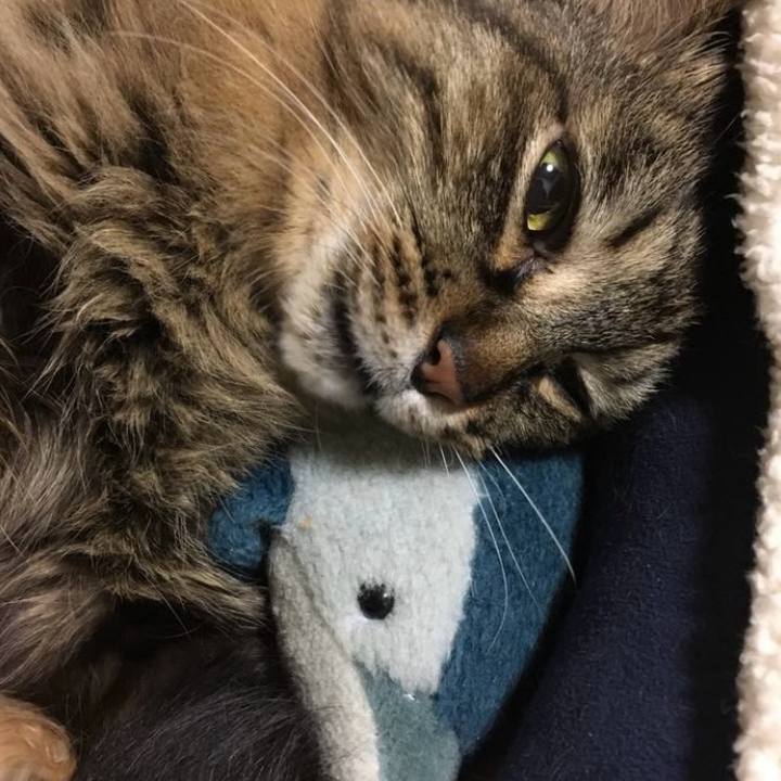 95628f64 8141 4348 8641 1d2b31a94ca4 1771032173837