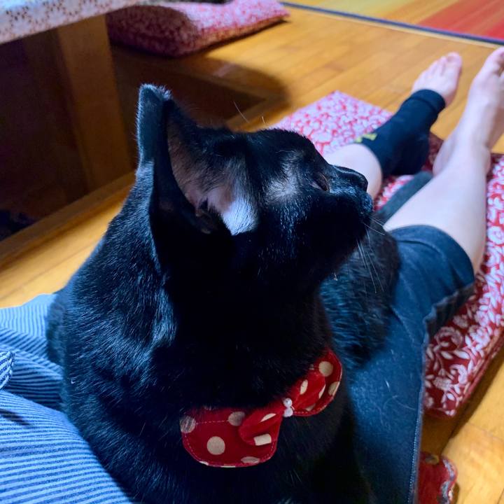 9562c034 8019 4d27 bcce 67f7aacfb1cf 1599743462388