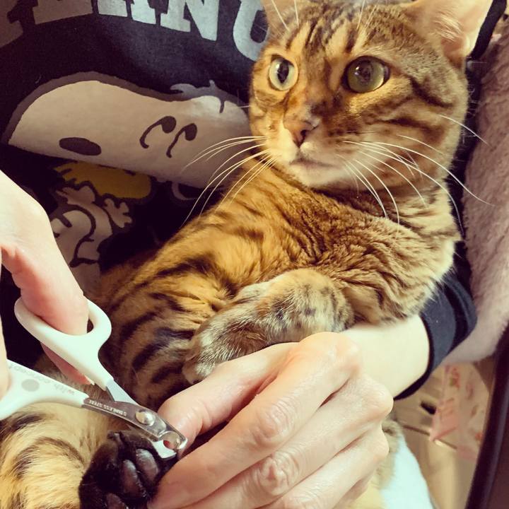 9562d193 e4e3 4450 bb38 2f2d144bb719 1606607201513