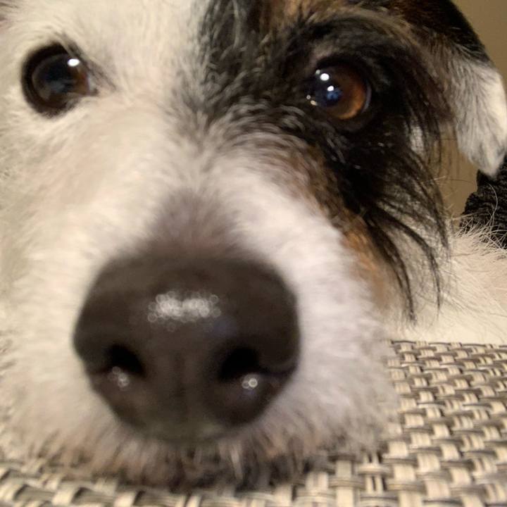 9562db1a 0291 4ec0 b734 418bbf9aec15 1618141274274