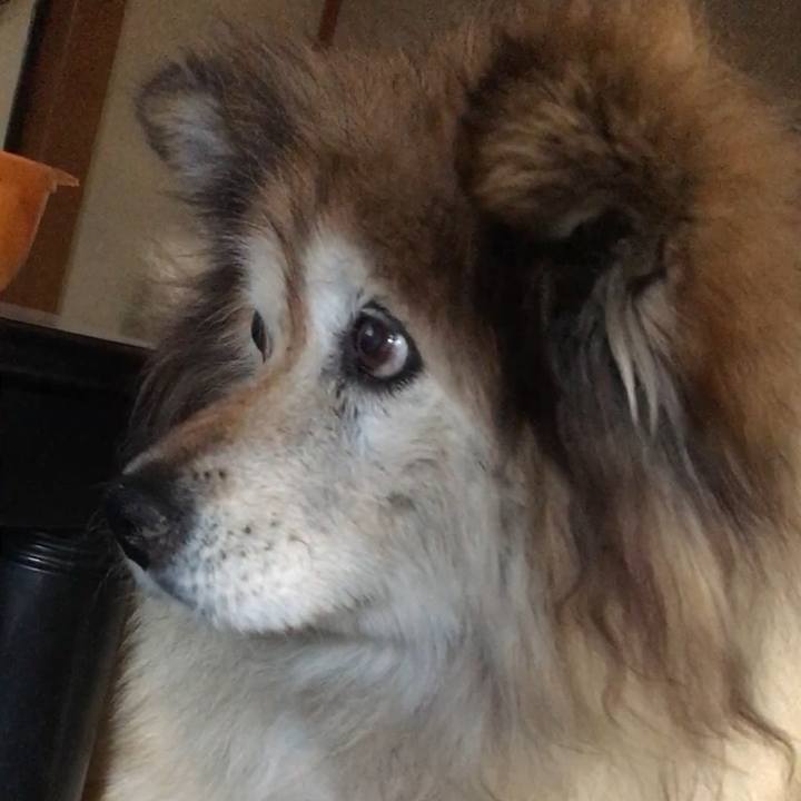 9562fd0b ffdf 40ba 9d80 0c61ef25900d 1567811423848