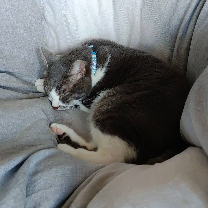 95630f61 f910 4ce2 a134 408f0b003711 1667612839123