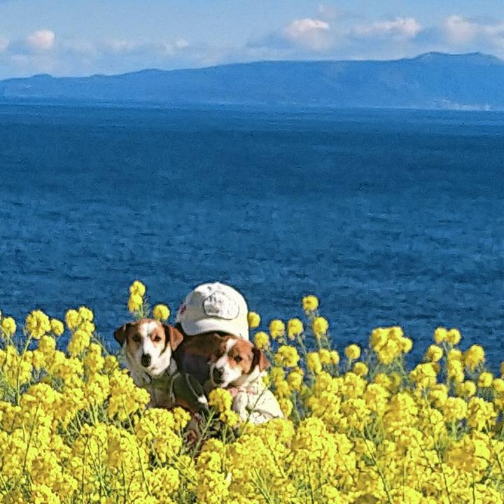 9563244b 1b36 41d9 bd3a e26553152bfa 1769162481155