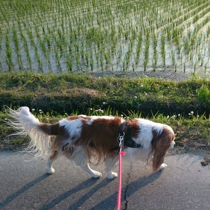 95632b77 4222 416c 9cbc 3979e53aa754 1559553437179