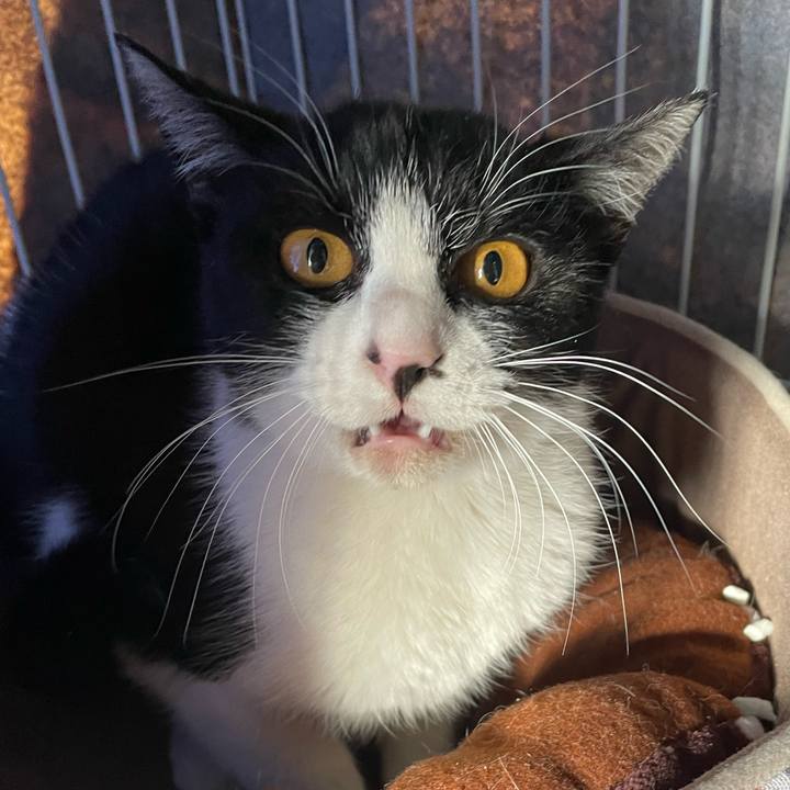 956333b0 3b78 4b39 bef9 6ec28fa6bdb8 1676073609273