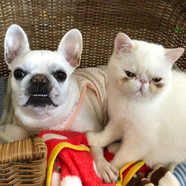 95637307 7bd0 4762 bb71 d0d77742debe 1554984839733