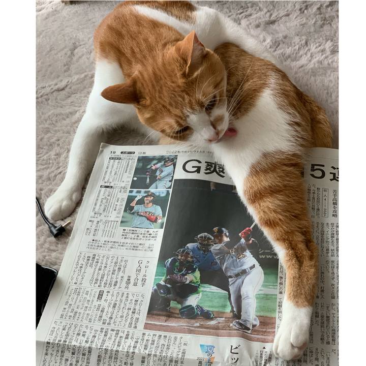 95638a38 828e 42fd af00 30f2ea1be07f 1657152428613