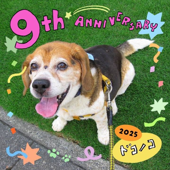 9563e35f 9352 4e76 8082 081f3a336564 1749097980080