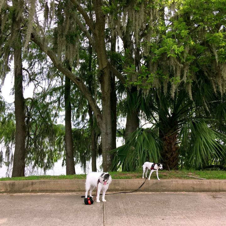 9563e390 b678 40c2 b401 756579268858 1560337914053