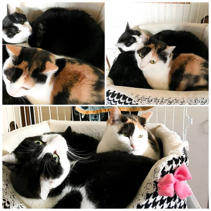 9563ece8 852a 43ff 84e6 96115d93db2e 1518879406355