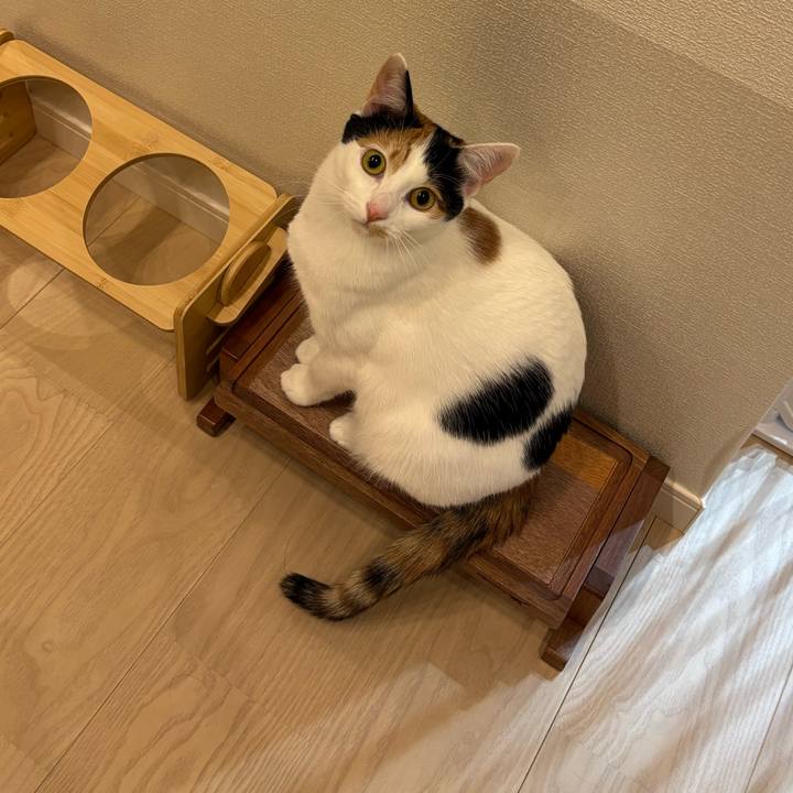 9563f295 f6eb 432a aae8 43007fb52996 1774075891909