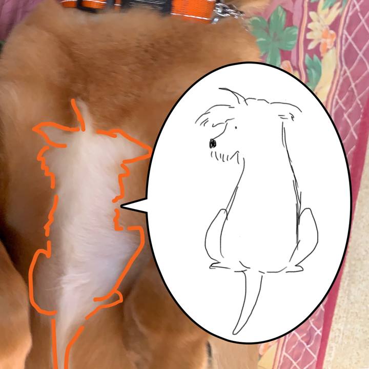 9564100f 86ff 4455 b155 5a7a8003aa1e 1563511988102