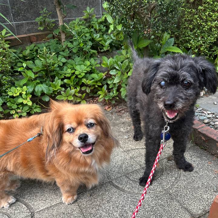 956481e1 f9f8 416d 85e1 e0e5e8995c13 1753048229215