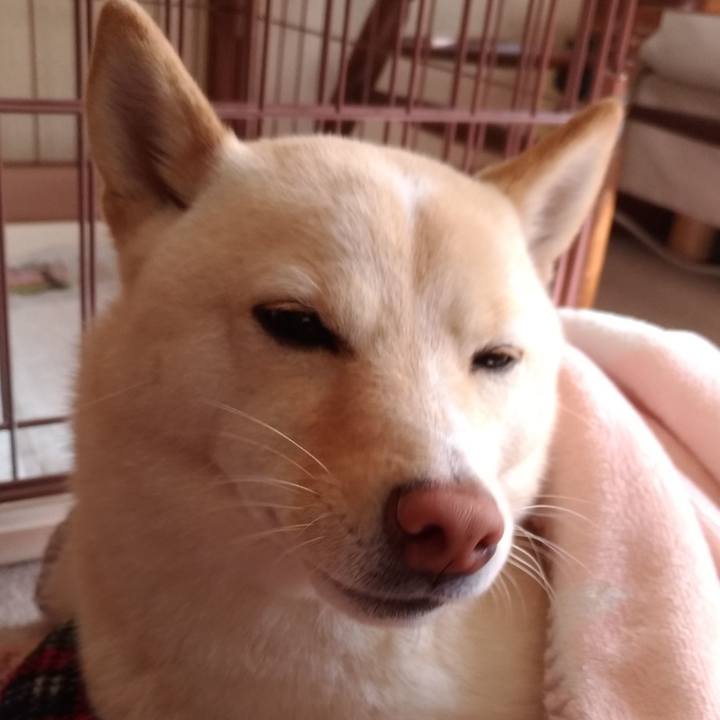 9564c1f2 0e76 4581 85c3 4555f13c630f 1551492055863