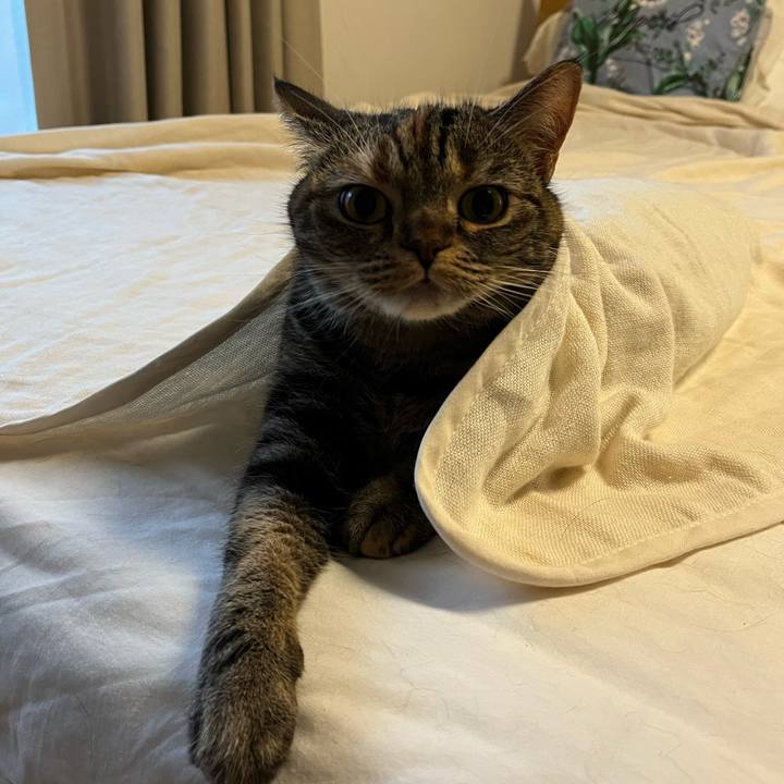 9564ef9a 40a4 42dc ab70 3793259a6c4b 1665310596967